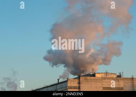 Ziegelschornstein mit weißem Rauch über einem Industriegebäude. Stockfoto