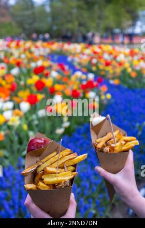 Belgische Pommes Frites im Blumengarten Keukenhof, Lisse, Niederlande Stockfoto