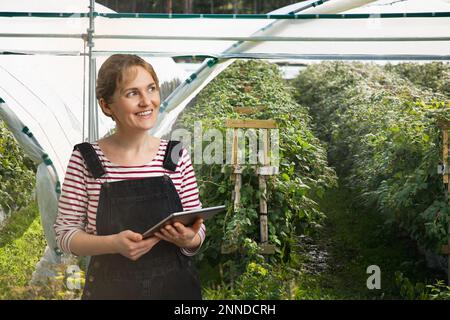 Eine Landwirtin hält ein Tablet in der Hand und bleibt neben Gewächshäusern. Technologien in der Landwirtschaft. Stockfoto