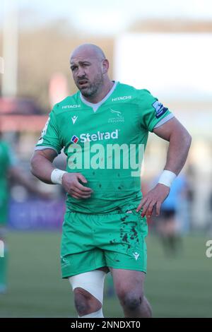 London, Großbritannien. 25. Februar 2023. Carl Fearns von Newcastle Falcons während des Gallagher Premiership Rugby-Spiels zwischen Saracens und Newcastle Falcons am 25. Februar 2023 im StoneX Stadium, London, England. Foto: Joshua Smith. Nur redaktionelle Verwendung, Lizenz für kommerzielle Verwendung erforderlich. Keine Verwendung bei Wetten, Spielen oder Veröffentlichungen von Clubs/Ligen/Spielern. Kredit: UK Sports Pics Ltd/Alamy Live News Stockfoto