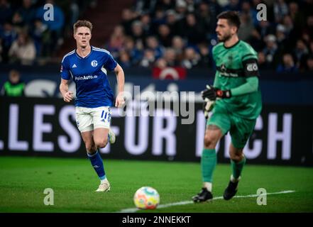 Gelsenkirchen, Deutschland. 25. Februar 2023. Fußball, Bundesliga: Schalke 04 - VfB Stuttgart, Spieltag 22, Veltins Arena. Schalkes Marius Bülter schaut auf Stuttgarter Torwart Fabian Bredlow. Kredit: Fabian Strauch/dpa - WICHTIGER HINWEIS: Gemäß den Anforderungen der DFL Deutsche Fußball Liga und des DFB Deutscher Fußball-Bund ist es verboten, im Stadion aufgenommene Fotos und/oder das Spiel in Form von Sequenzbildern und/oder videoähnlichen Fotoserien zu verwenden oder verwenden zu lassen./dpa/Alamy Live News Stockfoto