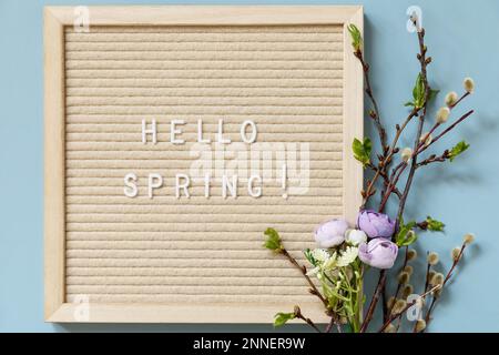 Brieftafel mit Zitat HELLO SPRING, mit grünen Zweigen und Blumen auf blauem Hintergrund, minimalistische Komposition. Frühlingskonzept zur Begrüßung. Stockfoto