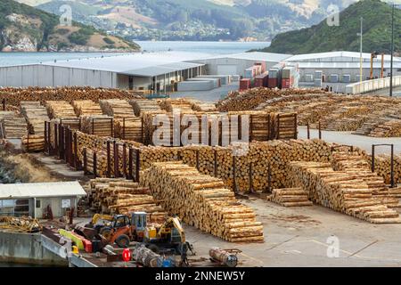 Kommerzielles Holzlager am Pier in Akaroa, Neuseeland. Stockfoto