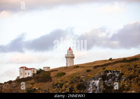 Taiaroa Head Lighthouse am Eingang zum Hafen von Otago in der Nähe von Port Chalmers, Neuseeland. Stockfoto