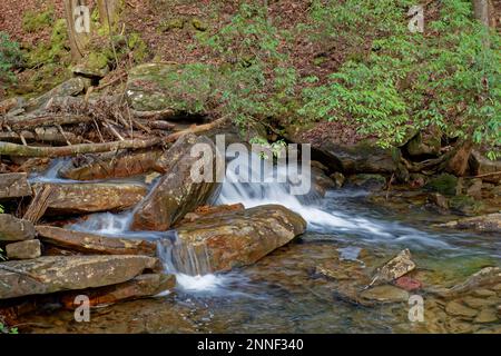 Nahaufnahme des schnell fließenden Wassers, das über die Felsen im Bach mit heruntergefallenen Blättern und Bäumen entlang der Küste an einem sonnigen Tag im Spätwintert fließt Stockfoto