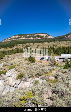 Bighorn National Forrest in Wyoming am Highway 16 mit Limber Pine (Pinus flexilis), die in den felsigen Klippen vertikal wächst Stockfoto