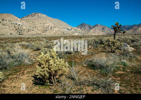 Die State Route 178 führt durch das Kern River Valley in der südlichen Sierra Nevada von Kalifornien. Stockfoto