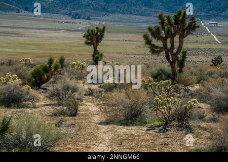 Die State Route 178 führt durch das Kern River Valley in der südlichen Sierra Nevada von Kalifornien. Stockfoto