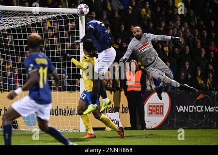 Victor Boniface von Union erzielt ein Tor bei einem Fußballspiel zwischen KVC Westerlo und der Royale Union Saint Gilloise, das am Samstag, den 25. Februar 2023 in Westerlo, am 27. Tag der ersten Division der belgischen Meisterschaft „Jupiler Pro League“ im Jahr 2022-2023 stattfand. BELGA FOTO LAURIE DIEFFEMBACQ Stockfoto