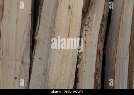 Brennholzstruktur als sehr schöner natürlicher Hintergrund, Nahaufnahme des Fotos. Stockfoto