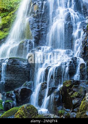 Fairy Falls, Columbia River Gorge National Scenic Area, Oregon. Stockfoto