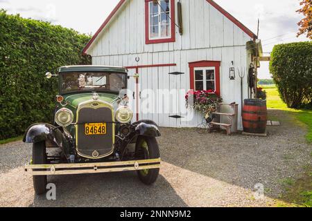 1930 Ford Model A Coupé, klassisches Auto in Grün mit schwarzen Kotflügeln und Rüttelsitz aus hellbraunem Leder vor einer alten weiß-roten Scheune. Stockfoto