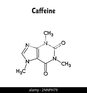 Koffeinmolekularstruktur. Koffein ist ein Stimulans des zentralen Nervensystems, das als kognitiver Verstärker eingesetzt wird und die Aufmerksamkeit und Aufmerksamkeit erhöht. ..Vektorstrukturformel der chemischen Verbindung. Schwarzer Stift, handgezeichnet. Stock Vektor