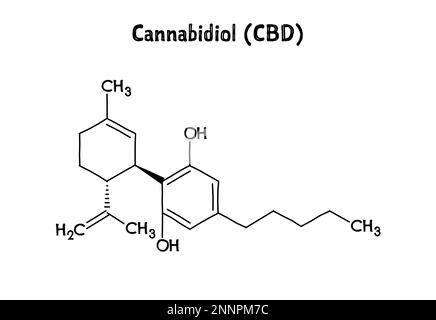 Cannabidiol oder CBD, Molekularstruktur. Cannabidiol ist ein Phytocannabinoid, das aus Cannabis extrahiert wird. ..Vektorstrukturformel der chemischen Verbindung. Schwarzer Stift, handgezeichnet. Stock Vektor