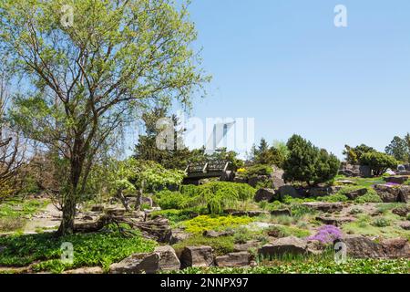 Felskanten Grenzen an Hosta - Plaintain Lily Pflanzen, blühende Bäume, Blumen und hölzerne Fußgängerbrücke im Alpengarten mit Olympiastadion, Montreal. Stockfoto