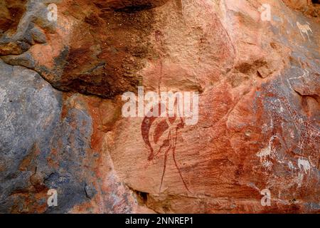 Felszeichnung eines Straußes in der De Riet-Höhle, in der Nähe von De Riet, Kunene-Region, Namibia Stockfoto