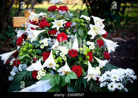 Rote Rosen und weiße Lilien auf einem Grab nach einer Beerdigung Stockfoto