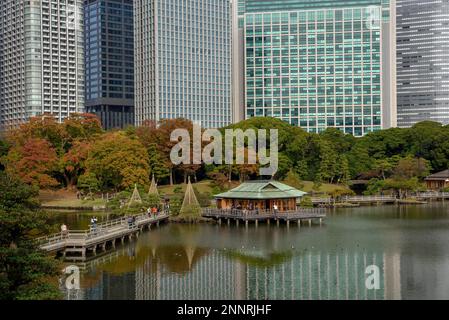 Hamarikyu Park, Imperial Garden of Hama Residence, vor der Skyline, Chuo District, Tokio, Honshu Island, Japan Stockfoto