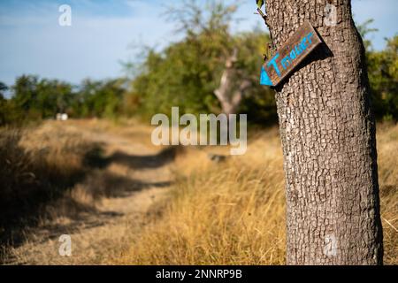 Wanderweg zur Teufelswand Stockfoto