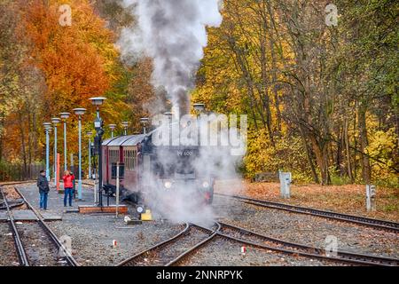 Eisenbahnromantik in der Selketal Harz Selketal Railway Stockfoto