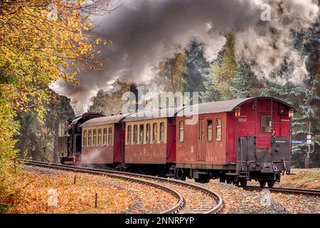 Eisenbahnromantik in der Selketal Harz Selketal Railway Stockfoto