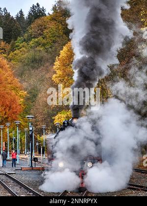 Eisenbahnromantik in der Selketal Harz Selketal Railway Stockfoto