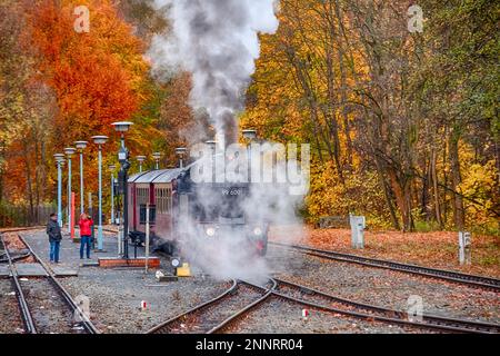 Eisenbahnromantik in der Selketal Harz Selketal Railway Stockfoto