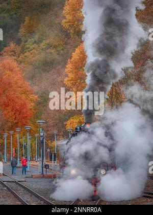 Eisenbahnromantik in der Selketal Harz Selketal Railway Stockfoto