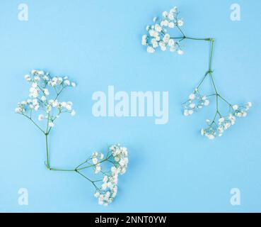 Kleiner, weißer, blauer Hintergrund aus Zigeunern. Hochauflösendes Foto Stockfoto