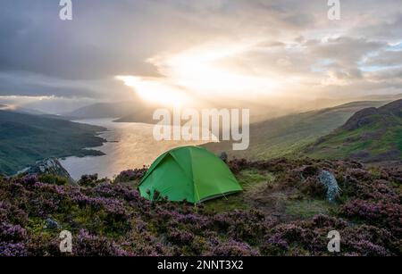 Grünes Zelt auf Ben Aan, Blick über Loch Katrine, Camping in den Highlands, The Trossachs, Scottish Highlands, Highlands Scotland, Großbritannien Stockfoto