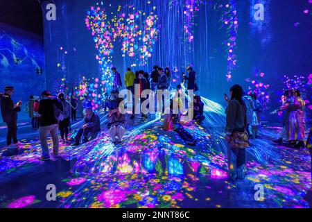 Digital Art Museum, Epson Team Lab Borderless, Odaiba Island, Tokio, Japan Stockfoto