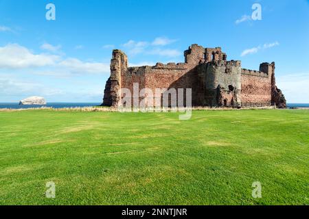 Bass Rock und Ruine Tantallon Castle, antikes Schloss des Douglas Clans, North Berwick, East Lothian, Schottland, Großbritannien Stockfoto