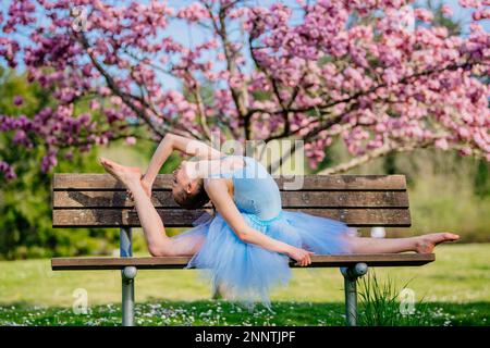 Ballerina in blauem Kleid, die unter Kirschblüten spaltet, Battle Point Park, Bainbridge Island, Washington, USA Stockfoto