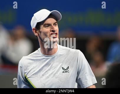 Doha, Katar. 25. Februar 2023. Andy Murray von Großbritannien reagiert während des Singles-Finales gegen Daniil Medwedew von Russland bei der ATP250 Qatar Open 2023 in Doha, Katar, 25. Februar 2023. Kredit: Nikku/Xinhua/Alamy Live News Stockfoto