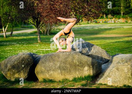 Weibliche Schreckgespensterin auf Felsen, Battle Point Park, Bainbridge Island, Washington, USA Stockfoto