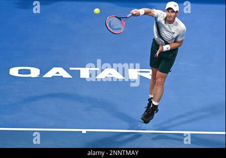 Doha, Katar. 25. Februar 2023. Andy Murray von Großbritannien dient während des Singles-Finales gegen Daniil Medwedew von Russland bei der ATP250 Qatar Open 2023 in Doha, Katar, 25. Februar 2023. Kredit: Nikku/Xinhua/Alamy Live News Stockfoto