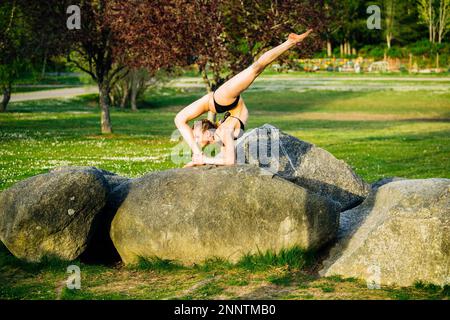 Weibliche Schreckgespensterin auf Felsen, Battle Point Park, Bainbridge Island, Washington, USA Stockfoto