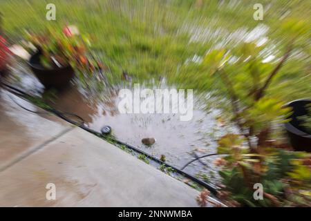 25. Februar 2023, San Diego, Kalifornien: Sonne und Regen während des Wintersturms in San Diego, Kalifornien, am Samstag, den 25. Februar 2023 (Kreditbild: © Rishi Deka/ZUMA Press Wire) NUR REDAKTIONELLE VERWENDUNG! Nicht für den kommerziellen GEBRAUCH! Stockfoto