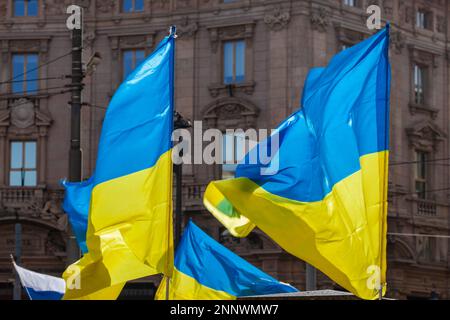 Flagge mit gelb-blau gestreiften Farben der Ukraine, die im Wind mit blauem Himmel und Sonne winkt. Stockfoto