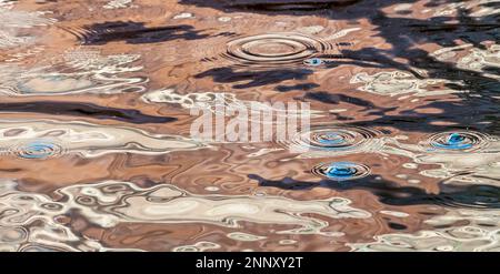 Reflexionen im Wasser, Indian Creek, Lake Powell, Glen Canyon Recreation Area, Utah, USA Stockfoto