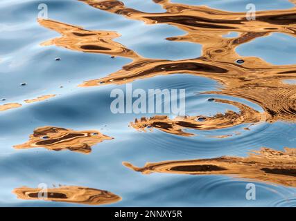 Reflexionen im Wasser, Indian Creek, Lake Powell, Glen Canyon Recreation Area, Utah, USA Stockfoto