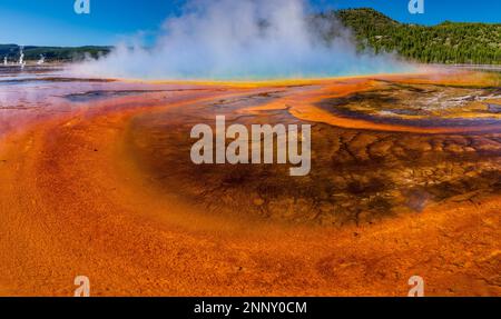 Grand Prismatic Spring, Middle Geyser Basin, Yellowstone-Nationalpark, UNESCO-Weltkulturerbe, Wyoming, USA Stockfoto