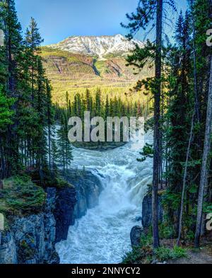 Landschaft mit Wasserfall, Wald und Bergen, Sunwapta Falls, Sunwapta River, Alberta, Kanada Stockfoto