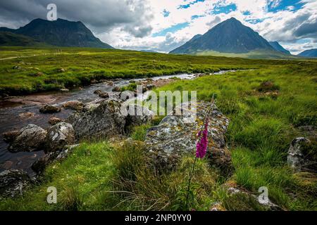 Meadow and River Etive and Creag Dubh Mountain, Schottland, Vereinigtes Königreich Stockfoto