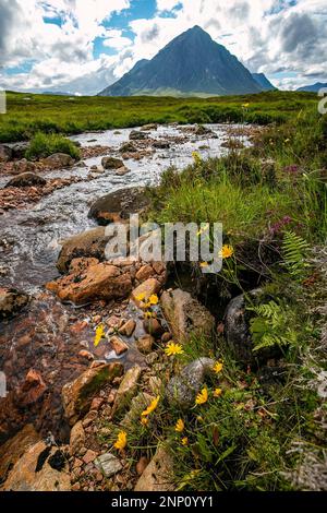 Meadow and River Etive and Creag Dubh Mountain, Schottland, Vereinigtes Königreich Stockfoto