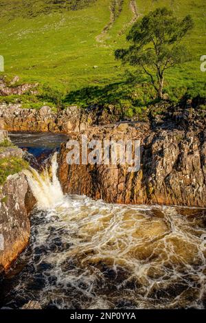 Meadow and River Etive and Creag Dubh Mountain, Schottland, Vereinigtes Königreich Stockfoto