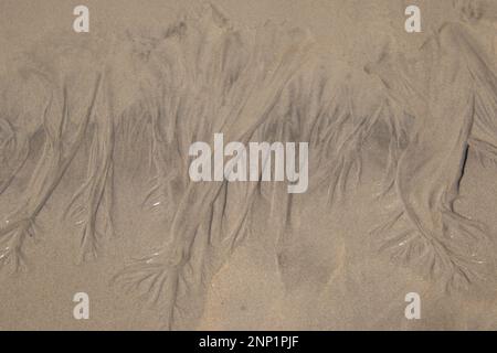 Wassermuster im Sand auf jeder Stockfoto