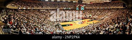 Basketballspiel, Breslin Center, Michigan, USA Stockfoto