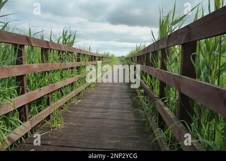 Eine Straße zwischen Hochschuhen, die durch eine Fußgängerbrücke führt. Polen Stockfoto