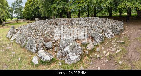 Stones and Forest, Clava Cairns, Schottland, Vereinigtes Königreich Stockfoto